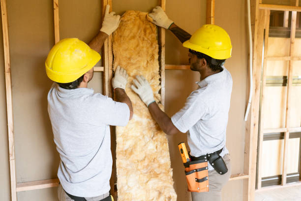 Best Eco-Friendly or Green Insulation Solutions in Port Washington, NY